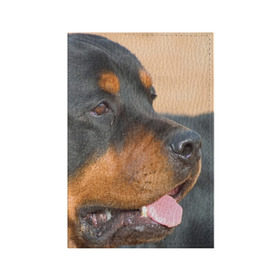 Обложка для паспорта матовая кожа с принтом Ротвейлер , натуральная матовая кожа | размер 19,3 х 13,7 см; прозрачные пластиковые крепления | Тематика изображения на принте: большая | пес | песик | псина | ротвейлер | ротвейлеры | собака | собаки