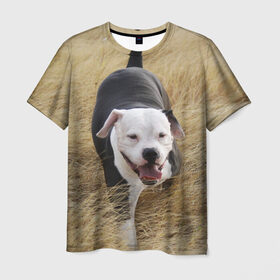 Мужская футболка 3D с принтом Пит-буль на траве , 100% полиэфир | прямой крой, круглый вырез горловины, длина до линии бедер | амстафф | буль | пес | песик | питбули | питбуль | собака | собаки | стафф | терьер