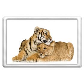 Магнит 45*70 с принтом Тигр и львица , Пластик | Размер: 78*52 мм; Размер печати: 70*45 | дикие | милые | природа | тигр | яркие