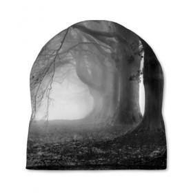 Шапка 3D с принтом Туман в лесу , 100% полиэстер | универсальный размер, печать по всей поверхности изделия | Тематика изображения на принте: black   white | fog | forest | morning | photo | silhouette | trees | деревья | лес | силуэт | туман | утро | фото | черно   белое