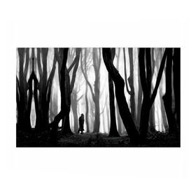 Бумага для упаковки 3D с принтом Утро в лесу , пластик и полированная сталь | круглая форма, металлическое крепление в виде кольца | black   white | fog | forest | man | morning | photo | silhouette | trees | деревья | лес | силуэт | туман | утро | фото | человек | черно   белое