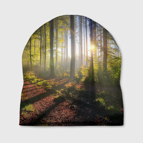 Шапка 3D с принтом Утро в лесу , 100% полиэстер | универсальный размер, печать по всей поверхности изделия | Тематика изображения на принте: bright | fog | forest | morning | sun | tree | trees | дерево | деревья | лес | солнце | туман | утро | яркое