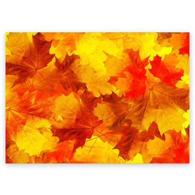 Поздравительная открытка с принтом Осень , 100% бумага | плотность бумаги 280 г/м2, матовая, на обратной стороне линовка и место для марки
 | Тематика изображения на принте: autumn | bright | color | forest | leaves | maple | paint | trees | деревья | клен | краски | лес | листья | осень | цвета | яркие