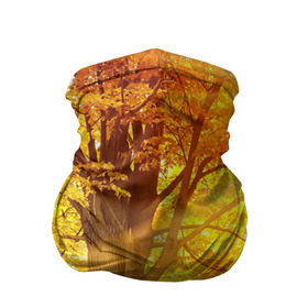 Бандана-труба 3D с принтом Осень , 100% полиэстер, ткань с особыми свойствами — Activecool | плотность 150‒180 г/м2; хорошо тянется, но сохраняет форму | autumn | bright | colors | forest | paint | trees | деревья | краски | лес | осень | цвета | яркие