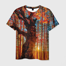 Мужская футболка 3D с принтом Осень , 100% полиэфир | прямой крой, круглый вырез горловины, длина до линии бедер | autumn | bright | colors | forest | trees | деревья | краски | лес | лучи | осень | солнце | цвета | яркие