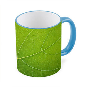 Кружка 3D с принтом Листик 2 , керамика | ёмкость 330 мл | зеленый | зелень | лист | природа | растения