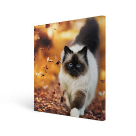 Холст квадратный с принтом Котик в листьях , 100% ПВХ |  | Тематика изображения на принте: грация | кот | котик | кошка | листья | осень