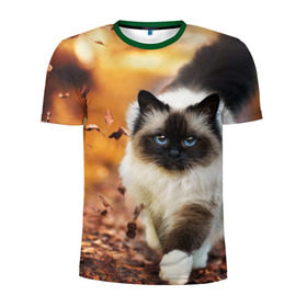 Мужская футболка 3D спортивная с принтом Котик в листьях , 100% полиэстер с улучшенными характеристиками | приталенный силуэт, круглая горловина, широкие плечи, сужается к линии бедра | грация | кот | котик | кошка | листья | осень
