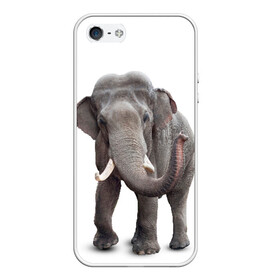 Чехол для iPhone 5/5S матовый с принтом Слон VPPDGryphon , Силикон | Область печати: задняя сторона чехла, без боковых панелей | luxury | premium | vip | vppdgryphon | премиум | слон | эксклюзив