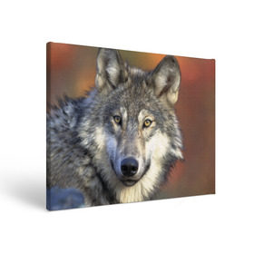 Холст прямоугольный с принтом Волк , 100% ПВХ |  | волк | волки | волчата | волчонок | хищник