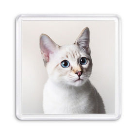 Магнит 55*55 с принтом Кошечка , Пластик | Размер: 65*65 мм; Размер печати: 55*55 мм | кот | котики | котята | кошка | рыженький | рыжий | серенький | черненький