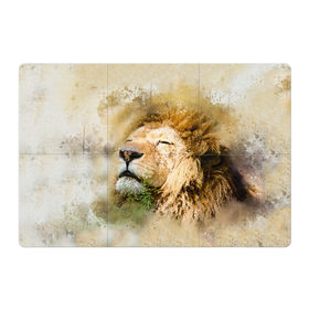 Магнитный плакат 3Х2 с принтом Лев , Полимерный материал с магнитным слоем | 6 деталей размером 9*9 см | зверь | лев | тигр | хищник