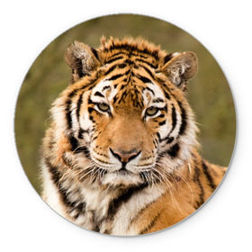 Коврик круглый с принтом Тигр , резина и полиэстер | круглая форма, изображение наносится на всю лицевую часть | Тематика изображения на принте: animal | predator | striped | tiger | view | wild | взгляд | дикий | животное | полосатый | тигр | хищник