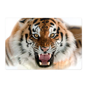 Магнитный плакат 3Х2 с принтом Тигр , Полимерный материал с магнитным слоем | 6 деталей размером 9*9 см | animal | predator | striped | tiger | view | wild | взгляд | дикий | животное | полосатый | тигр | хищник