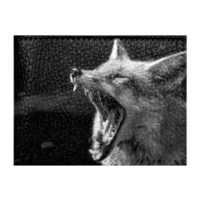 Обложка для студенческого билета с принтом Лиса , натуральная кожа | Размер: 11*8 см; Печать на всей внешней стороне | animal | bw | fox | jaws | predator | sly | teeth | wild | yawn | дикая | животное | зевает | зубы | лиса | пасть | хитрая | хищник | чб