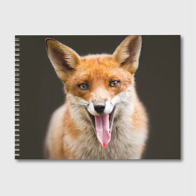Альбом для рисования с принтом Лиса , 100% бумага
 | матовая бумага, плотность 200 мг. | animal | fox | look | predator | red | sly | wild | взгляд | дикая | животное | лиса | рыжая | хитрая | хищник