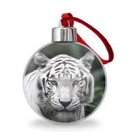 Ёлочный шар с принтом Белый тигр , Пластик | Диаметр: 77 мм | Тематика изображения на принте: animal | jungle | look | predator | tiger | white | wild | белый | взгляд | джунгли | дикий | животное | тигр | хищник