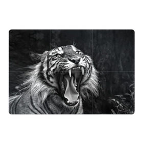Магнитный плакат 3Х2 с принтом Тигр , Полимерный материал с магнитным слоем | 6 деталей размером 9*9 см | animal | black   white | fangs | jaws | jungle | predator | teeth | tiger | wild | джунгли | дикий | животное | клыки | оскал | пасть | тигр | хищник | черно   белый