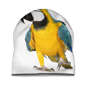 Шапка 3D с принтом Попугай ара , 100% полиэстер | универсальный размер, печать по всей поверхности изделия | желтый | птица | синий | экзотика