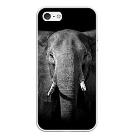Чехол для iPhone 5/5S матовый с принтом Слон , Силикон | Область печати: задняя сторона чехла, без боковых панелей | animal | big | black   white | elephant | wild | большой | дикий | животное | слон | черно   белый