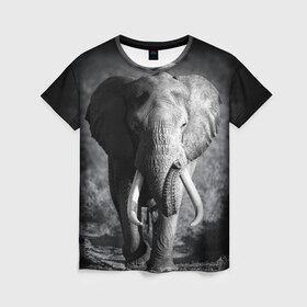 Женская футболка 3D с принтом Слон , 100% полиэфир ( синтетическое хлопкоподобное полотно) | прямой крой, круглый вырез горловины, длина до линии бедер | africa | animal | big | black   white | elephant | go | road | savannah | wild | африка | большой | дикий | дорога | животное | идет | саванна | слон | черно   белый