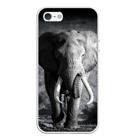 Чехол для iPhone 5/5S матовый с принтом Слон , Силикон | Область печати: задняя сторона чехла, без боковых панелей | africa | animal | big | black   white | elephant | go | road | savannah | wild | африка | большой | дикий | дорога | животное | идет | саванна | слон | черно   белый