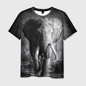 Мужская футболка 3D с принтом Слон , 100% полиэфир | прямой крой, круглый вырез горловины, длина до линии бедер | africa | animal | big | black   white | elephant | go | road | savannah | wild | африка | большой | дикий | дорога | животное | идет | саванна | слон | черно   белый