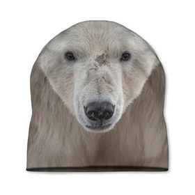 Шапка 3D с принтом Белый медведь , 100% полиэстер | универсальный размер, печать по всей поверхности изделия | animal | bear | eyes | head | north | polar | predator | white | wild | белый | взгляд | голова | дикий | животное | медведь | полярный | север | хищник