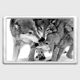 Магнит 45*70 с принтом Волчья семья , Пластик | Размер: 78*52 мм; Размер печати: 70*45 | animals | black   white | family | love | predators | wild | wolves | волки | дикие | животные | любовь | семья | хищники | черно   белый