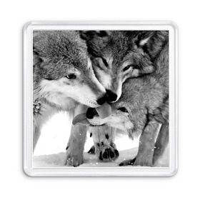 Магнит 55*55 с принтом Волчья семья , Пластик | Размер: 65*65 мм; Размер печати: 55*55 мм | animals | black   white | family | love | predators | wild | wolves | волки | дикие | животные | любовь | семья | хищники | черно   белый