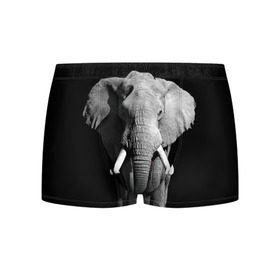 Мужские трусы 3D с принтом Слон , 50% хлопок, 50% полиэстер | классическая посадка, на поясе мягкая тканевая резинка | africa | big | black   white | elephant is an animal | shroud | tusks | африка | бивни | большой | животное | идет | савана | слон | черно   белый