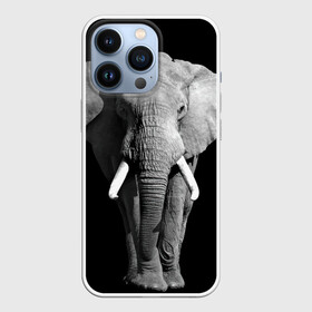 Чехол для iPhone 13 Pro с принтом Слон ,  |  | Тематика изображения на принте: africa | big | black   white | elephant is an animal | shroud | tusks | африка | бивни | большой | животное | идет | савана | слон | черно   белый