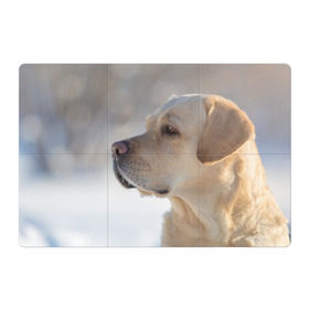 Магнитный плакат 3Х2 с принтом Лабрадор , Полимерный материал с магнитным слоем | 6 деталей размером 9*9 см | далматин | далматинец | дворняга | лабрадор | любимец | овчарка | пес | питомец | самоед | собака | собачка | щенок