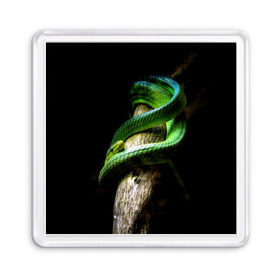 Магнит 55*55 с принтом Змея на груди , Пластик | Размер: 65*65 мм; Размер печати: 55*55 мм | гадюка | дерево | джунгли | зелёный змей | змея | кобра | природа | удав