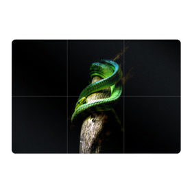 Магнитный плакат 3Х2 с принтом Змея на груди , Полимерный материал с магнитным слоем | 6 деталей размером 9*9 см | гадюка | дерево | джунгли | зелёный змей | змея | кобра | природа | удав