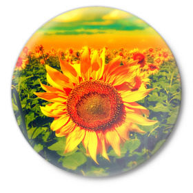 Значок с принтом Подсолнухи ,  металл | круглая форма, металлическая застежка в виде булавки | лето | подсолнух | поле | природа | цветок | яркая