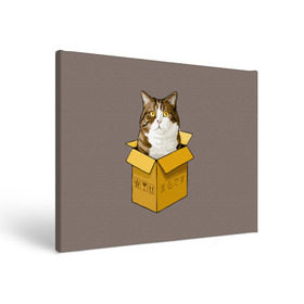 Холст прямоугольный с принтом Maru , 100% ПВХ |  | Тематика изображения на принте: cat | maru | коробка | кот в коробке | кот мару | котейка | кошка | мару | прикол