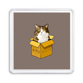 Магнит 55*55 с принтом Maru , Пластик | Размер: 65*65 мм; Размер печати: 55*55 мм | Тематика изображения на принте: cat | maru | коробка | кот в коробке | кот мару | котейка | кошка | мару | прикол
