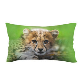 Подушка 3D антистресс с принтом Котёнок гепарда , наволочка — 100% полиэстер, наполнитель — вспененный полистирол | состоит из подушки и наволочки на молнии | гепард | дикая кошка | котёнок | кошка | лев | природа | тигр | хищник | ягуар