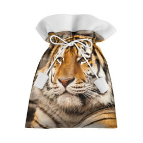Подарочный 3D мешок с принтом Тигр , 100% полиэстер | Размер: 29*39 см | Тематика изображения на принте: амурский | животные | киса | кот | котенок | кошка | пума | рысь | серый | тигр | хищник