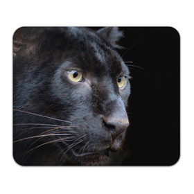 Коврик прямоугольный с принтом Черная пантера , натуральный каучук | размер 230 х 185 мм; запечатка лицевой стороны | животные | кис | киска | кот | котенок | котик | кошечка | кошка | пантера | рысь | тигр | хищник