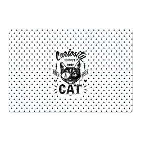 Магнитный плакат 3Х2 с принтом Curiosity Cat , Полимерный материал с магнитным слоем | 6 деталей размером 9*9 см | animal | beast | cat | feline | gangsta | kill | king | kitty | meow | nature | гангстер | животное | зверь | король | кот | котенок | котик | кошка | мяу | природа