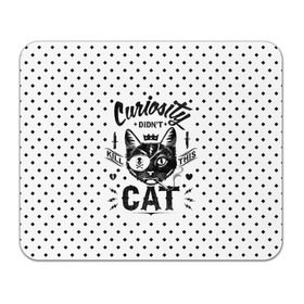 Коврик прямоугольный с принтом Curiosity Cat , натуральный каучук | размер 230 х 185 мм; запечатка лицевой стороны | animal | beast | cat | feline | gangsta | kill | king | kitty | meow | nature | гангстер | животное | зверь | король | кот | котенок | котик | кошка | мяу | природа