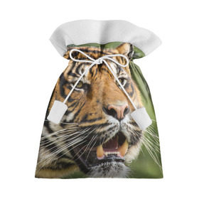 Подарочный 3D мешок с принтом Тигр , 100% полиэстер | Размер: 29*39 см | 