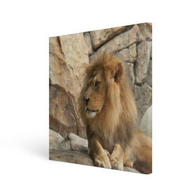 Холст квадратный с принтом Лев , 100% ПВХ |  | амурский | животные | киса | кот | котенок | кошка | лев | львица | пума | рысь | серый | тигр | хищник