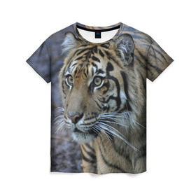 Женская футболка 3D с принтом Тигр , 100% полиэфир ( синтетическое хлопкоподобное полотно) | прямой крой, круглый вырез горловины, длина до линии бедер | Тематика изображения на принте: амурский | животные | зверь | киса | кот | котенок | кошка | тигр | хищник