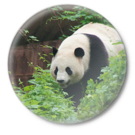Значок с принтом Панда в лесу ,  металл | круглая форма, металлическая застежка в виде булавки | Тематика изображения на принте: животные | лес | медведь | медвежонок | панда | природа