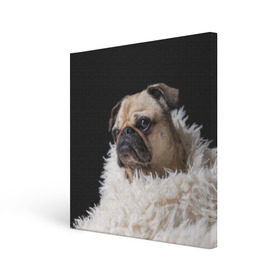 Холст квадратный с принтом Мопс , 100% ПВХ |  | Тематика изображения на принте: бульдог | мопс | мопсик | мопсы | пес | песик | песики | собака | собаки | собачка