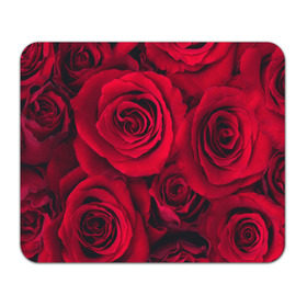Коврик прямоугольный с принтом Красные розы , натуральный каучук | размер 230 х 185 мм; запечатка лицевой стороны | 8 марта | букет | весна | дары флоры | женщине | красные | лепестки | лето | любовь | отношения | подарок | розы | романтика | флора | цветок | цветы