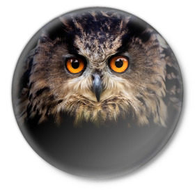 Значок с принтом Хищный взор ,  металл | круглая форма, металлическая застежка в виде булавки | взгляд | глаза | клюв | пернатые | перья | птица | сова | филин | хищник